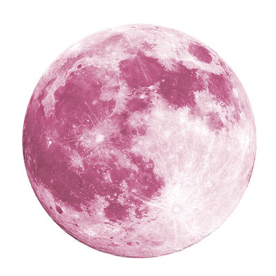 

Moon Glow In the Dark Wall Stickers Home Decor Poster Kids Rooms Wall Decoration
