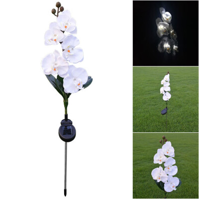 

〖Follure〗Solar Power Flower Light LED Outdoor Garden Yard Path Lawn Landscape Lamp Decor