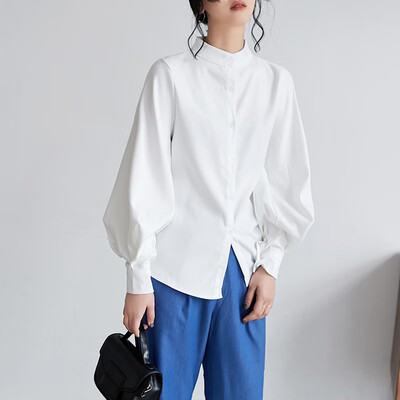 

Autumn Women Blouse Long sleeve Turn Down Collar Elegant Girls Shirt Plus Size OL Office Harajuku Korean Trendy Clothes