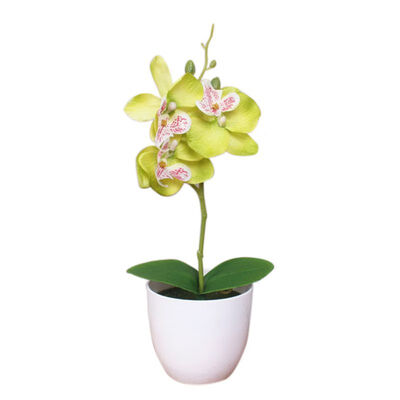 

1PCS Mini Phalaenopsis Potted Artificial Flower For Home Decoration Party Supplies