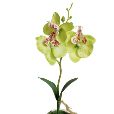 

1PC Mini Phalaenopsis Silk Flowers Artificial Decorative Flower Creative DIY Accessories wedding decoration