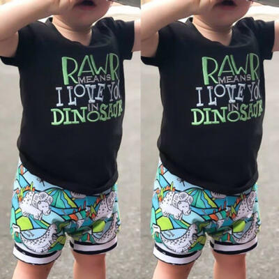 

Toddler Baby Boy 2PCS Clothes Dinosaur Tops Shorts Outfits Kids Clothes 0-4Y