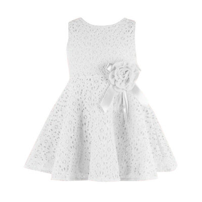 

Summer Toddler Baby Girls Kids Lace Floral Dress One Piece Party Princess Dresses Girl Vestido LH6s