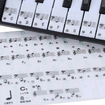 

Transparent 49 61 Key Electronic Keyboard 88 Key Piano Stave Note Sticker for White Keys
