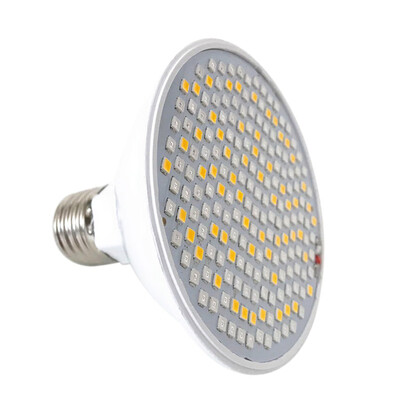 

LED Light Photon Skin Rejuvenation Therapy Face Massager Electric Lamp Facial Anti Acne Wrinkle Removal With Lamp Holder