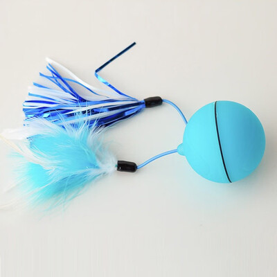

Electronic Rolling Flash Ball USB Charging Pet Ball LED flash rolling cat toys Funny Feather Interactive Cat Toys For Puppy Dog