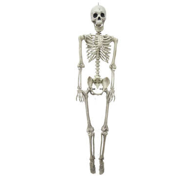 

Halloween Flexible Human Anatomical Anatomy Bone Skeleton Model Art Sketch Scary Skeleton Party DIY Decoration