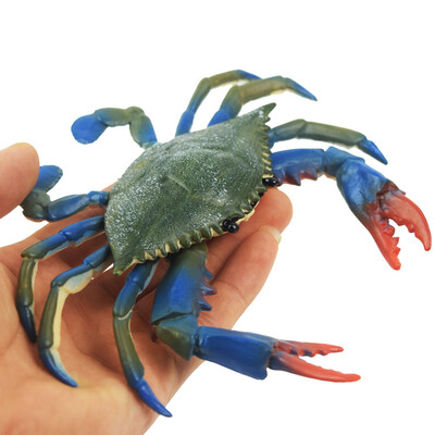 

YIWULAEducation Simulated Crab Model Cartoon Summer Wash Toy Bathroom Playing Water