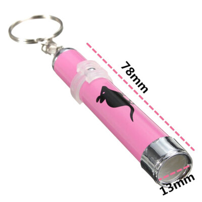 

Portable Creative&Funny Pet Cat Toys Pointer light Pen LED laser light red With Bright Animation Mouse