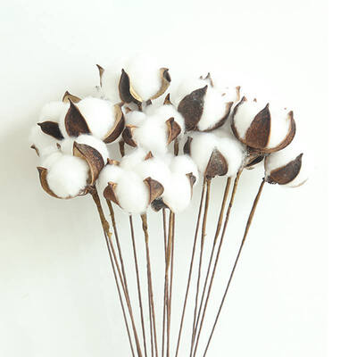 

10pcs Natural Cotton Branches Dried Flowers Home Decoration Wedding Bouquets Natural Artificial Flowers