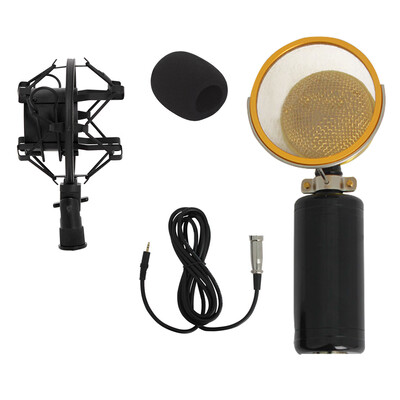 

Professional Capacitor Studio Microphone Metal Mesh Plated Shell Microphone Wired Stage Conference Mic
