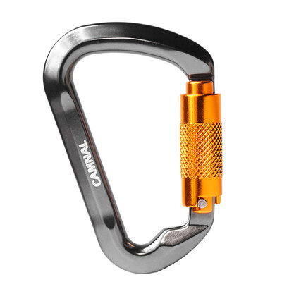 

D-type Mountaineer Rock Climbing Safety Automatic Master Lock Carabiner 11275mm