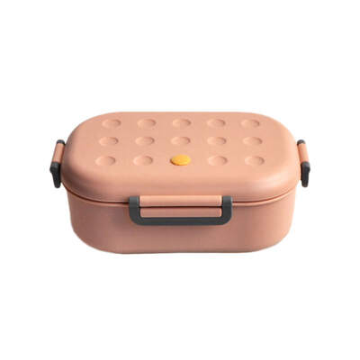 

Microwave Double Layer Lunch BoxLeakproof Salad Bento Box BPA Free Portable Container Box for Kids Workers Student