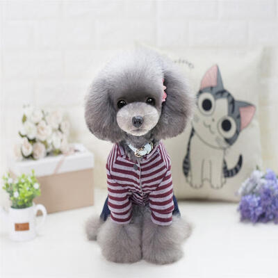 

Fashion Warm Winter Hoodie Jumpsuit Coat Clothes Costume For Pet Dog Puppy US