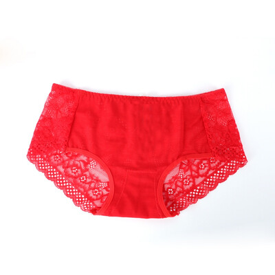 

2016 Women Underwear Seamless Transparent Sexy Lace Brief Womens Briefs