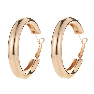 

2 Pairs Earrings Wide Thick Hoop GoldSliver Plated Stud Earrings Click-Top Hoop Half Round Hoops for Women