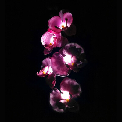 

〖Follure〗5 Head Solar LED Decorative Outdoor Lawn Lamp 5 Head Of Solar Butterfly Orchid
