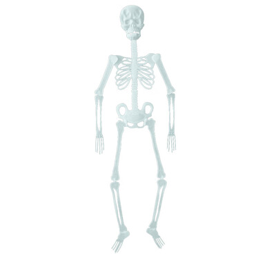 

Gobestart Halloween Props Luminous Human Skeleton Hanging Decoration Outdoor Party US
