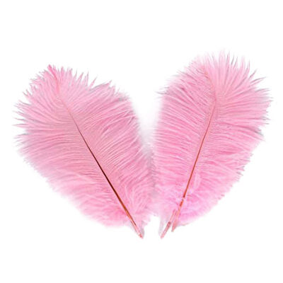 

50pcs Home Bookmark Feather Wedding Festival Supplies Craft Decoration Natural Non-toxic Cross-Stitching Kit Ostrich Feather