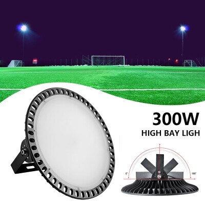 

2020 NEW 300W 110V High Bay Light Led Light