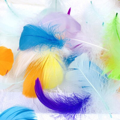 

100pcspack Home Party Macaron DIY Birthday Party Romantic Wedding Decoration Color Feathers Transparent Bubble Balloons Fillers
