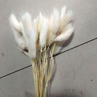 

30pcslot Real Touch Artificial Flowers Wedding Decorative Flowers Natural Rabbit Tail Fake Flowers Wedding Party Decoration