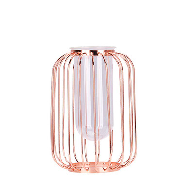 

Gobestart Creative Hydroponic Plant Transparent Vase Frame Coffee Shop Room Decor