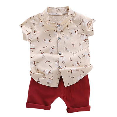 

Summer Set Baby Boys Casual Short Sleeve Floral Pattern shirt TopsShorts Set