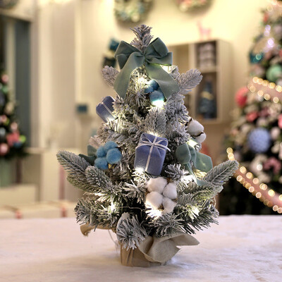 Toponeto DIY Mini ChristmasTree Small Pine Tree Cedar Placed Table Desktop Home Deco