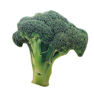 

JPGIF 3D Soft Pillow Plush Cushion Broccoli Seat Green Pads Decor
