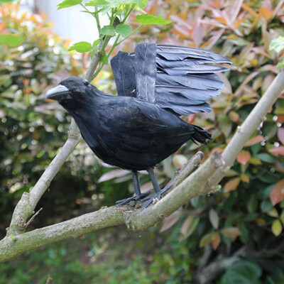 

Halloween Unique Simulation Crow Fake Bird For School Specimen Halloween Micro Landscape Decoration Garden Decoration