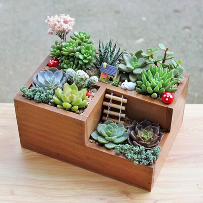 

New Wooden Garden Planting Trough Window Frame Succulent Planting Pot