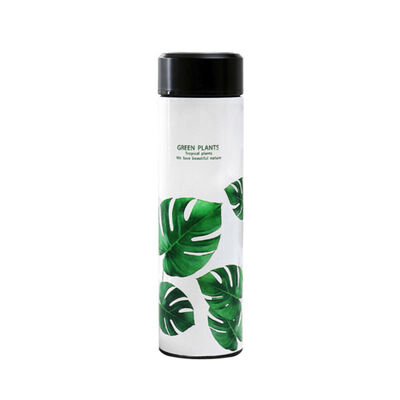 

Nordic Style Plant Thermos Cup One Leaf Pattern Home Garden Kitchen Dining Drink Ware Vacuum Flasks Thermoses
