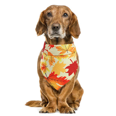 

Gobestart Bibs Pet Saliva Towel Thanksgiving With Costume Decor Hats For Small Cat Dog