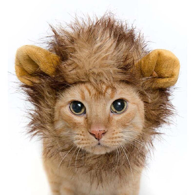 

Wholesale Pet Cat Dog Emulation Lion Hair Mane Ears Head Cap Autumn Winter Dress Up Costume Muffler Scarf