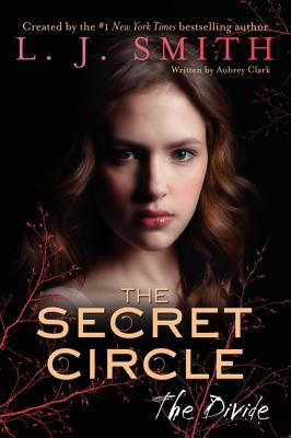 

The Secret Circle The Divide