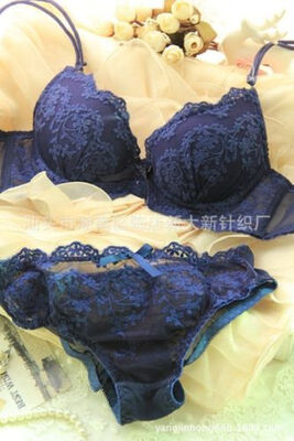 

Ladies Lace Floral Embroidery Bra&Knicker Sets Gorgeous Lingerie 32-36 B