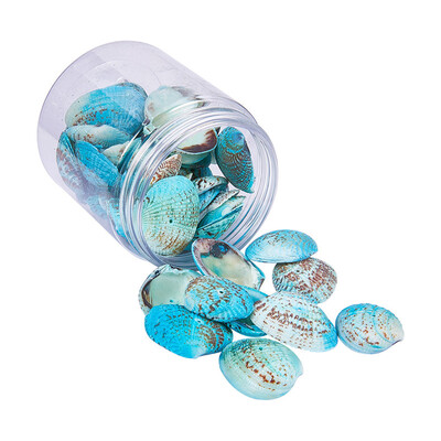 

PH PANDAHALL 35 pcs Aqua Color Dyed Shell Beads
