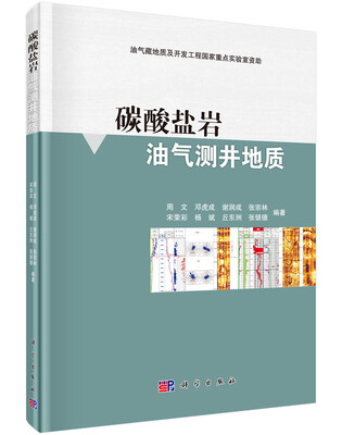 

碳酸盐岩油气测井地质