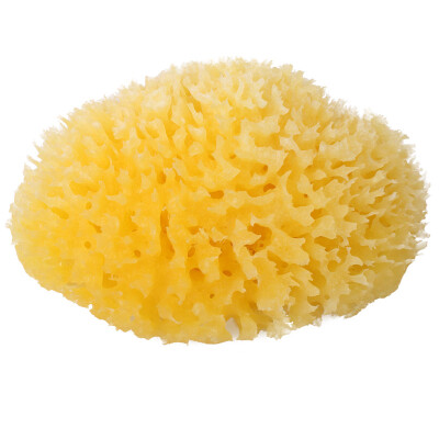 

Jingdong supermarket] OKBABY Italy imported baby bath sponge archipelago Mediterranean natural baby bath sponge 12 #