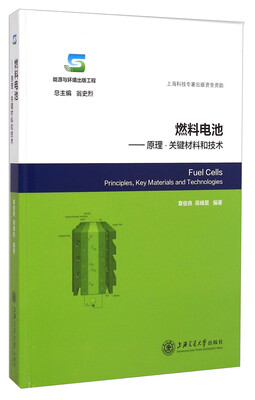 

燃料电池·原理关键材料和技术：能源与环境出版工程