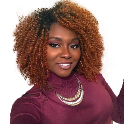 

AISI HAIR Synthetic Ombre Brown Short Wigs for Black Women Afro Kinky Curly African American Hair