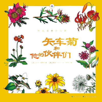 

听大自然讲故事矢车菊和他的伙伴们