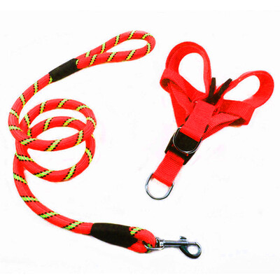 

HANHANLEYUAN dog chain dog rope small dog medium dog dog leash rope pet dog leash dog hyena rope golden hair Teddy dog chain fine line round rope red  medium
