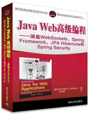

Java Web高级编程：涵盖WebSockets、Spring Framework、JPA