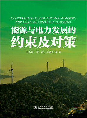 

能源与电力发展的约束及对策