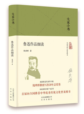 

大家小书 鲁迅作品细读