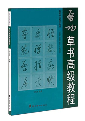 

名家书法技法丛书：启功草书高级教程