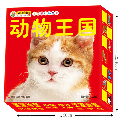 

小笨熊认知全卡 动物王国 认知 注音 0-3岁
