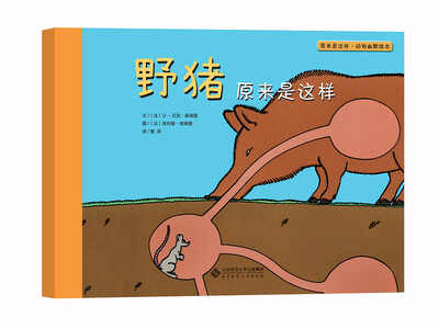 

原来是这样·动物幽默绘本：野猪原来是这样